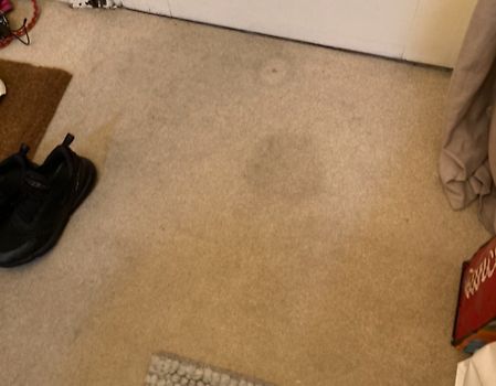 Stained carpet 